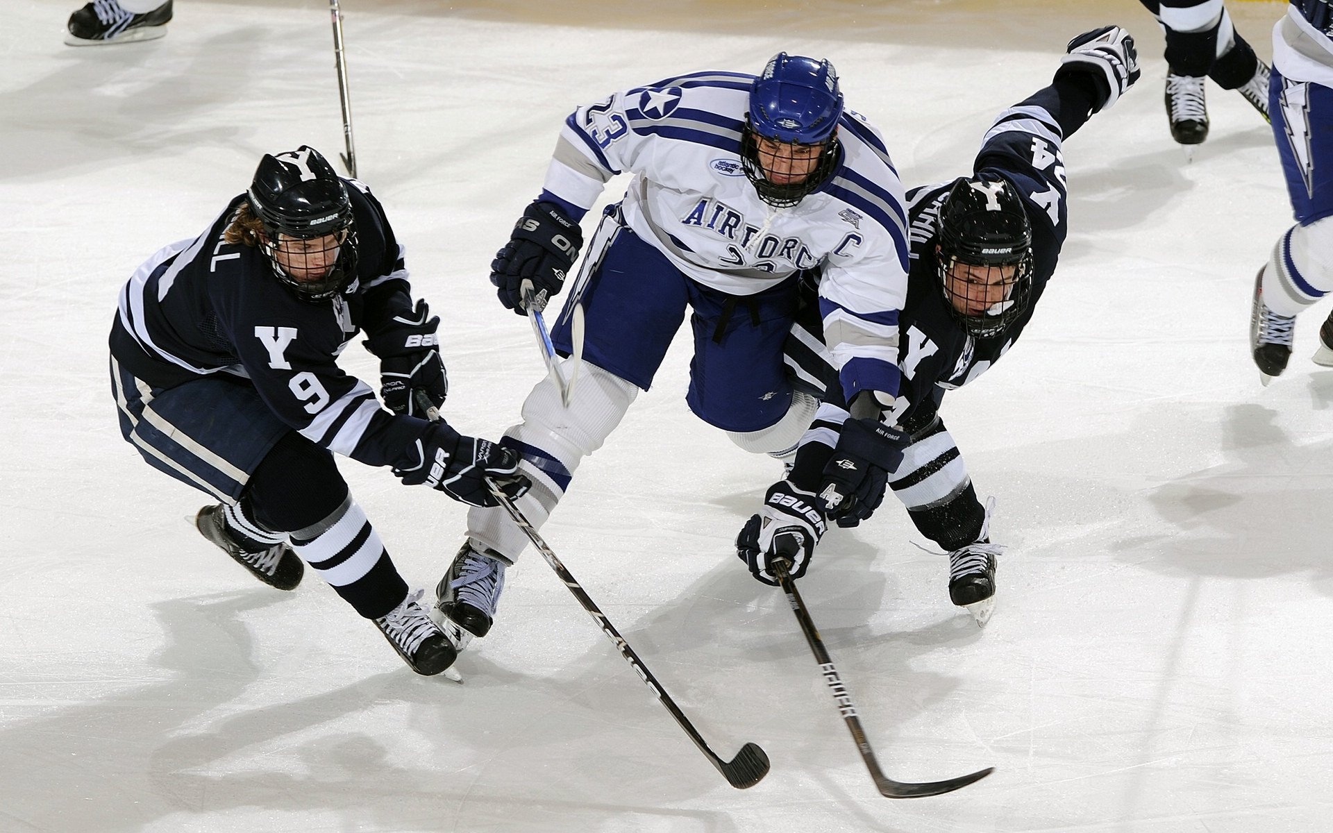 _热爱无悔：运动员面对伤痛的坚持与拼搏_，热爱运动员认亲是哪一集